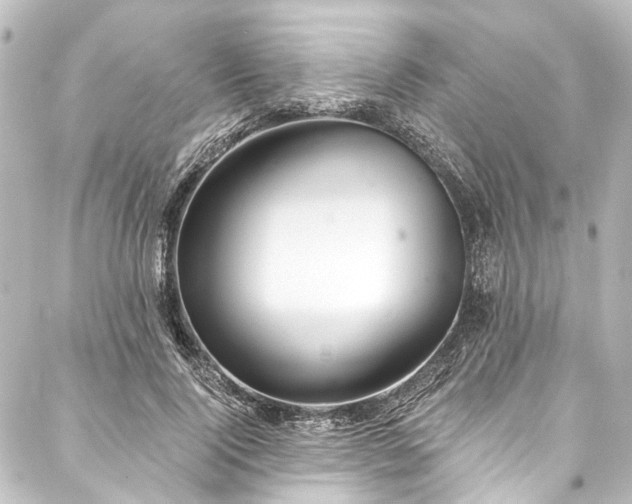 X0000088220740200705151413