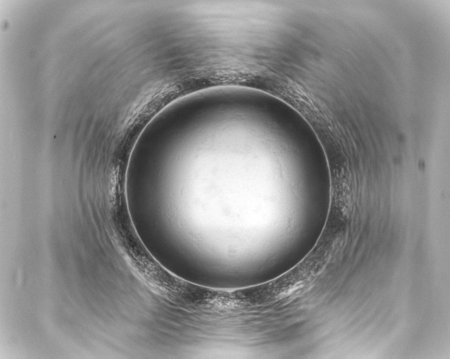 X0000088220742200705151413