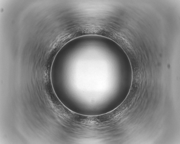 X0000088220743200705151413