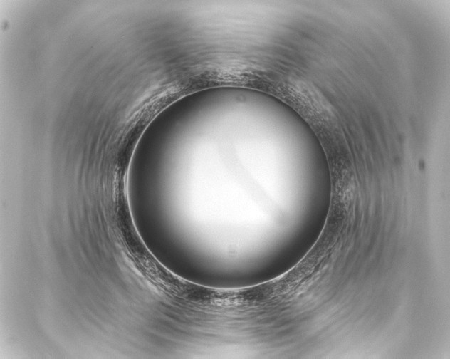 X0000088220744200705151413