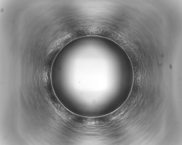 X0000088220746200705151413