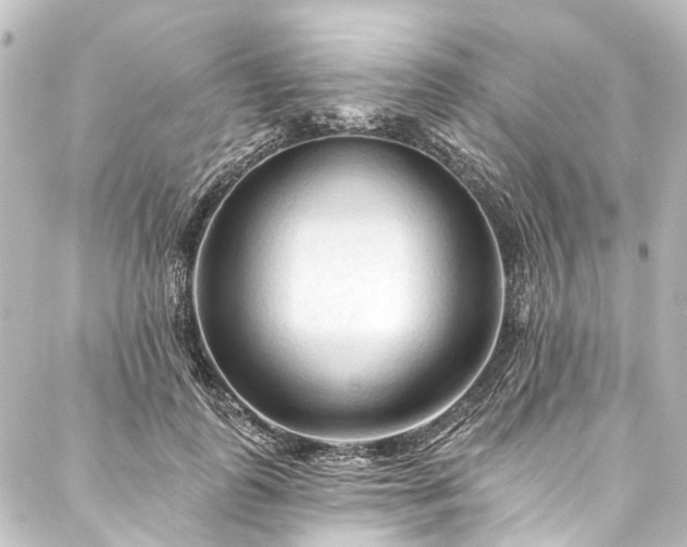 X0000088220747200705151413