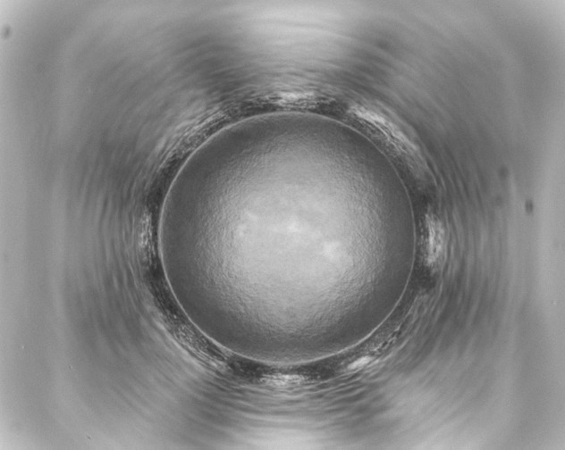 X0000088220748200705151413