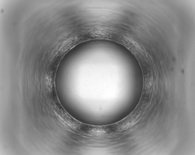 X0000088220749200705151413