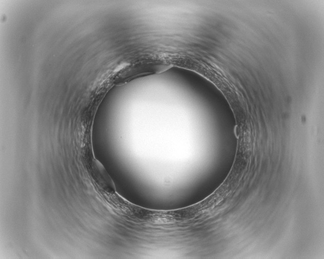 X0000088220750200705151413