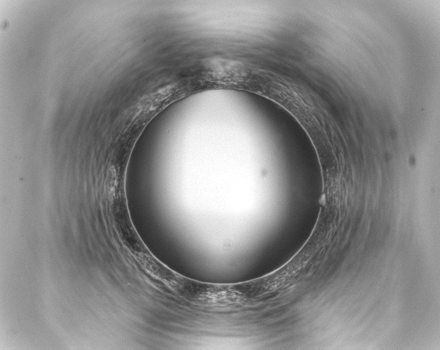 X0000088220752200705151413