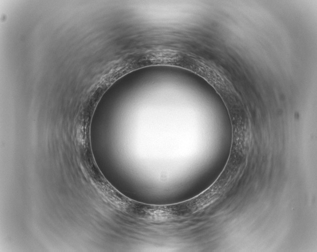 X0000088220755200705151413