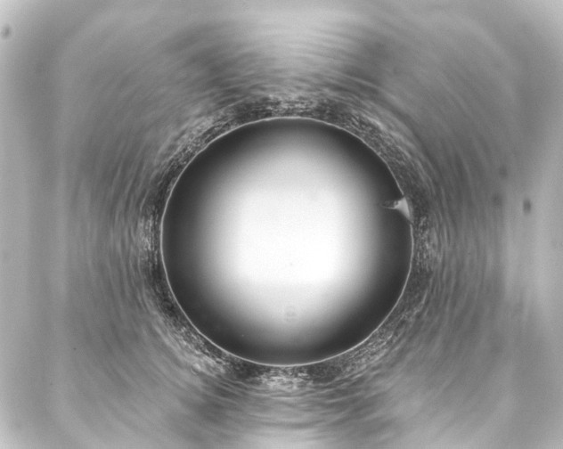 X0000088220756200705151413