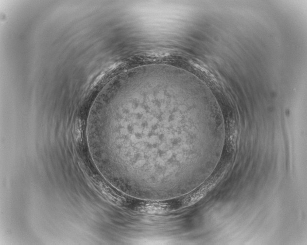 X0000088220758200705151413