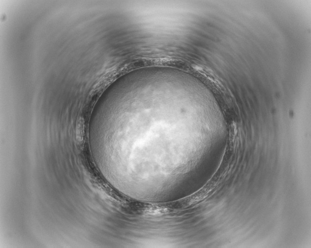 X0000088220760200705151413