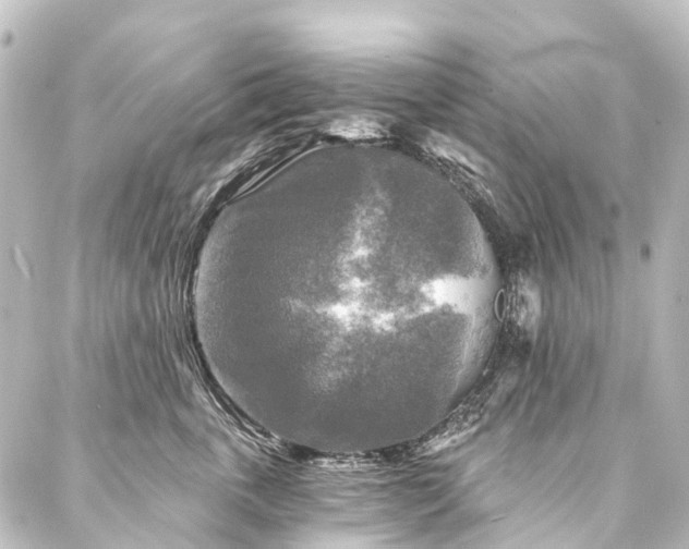 X0000088220763200705151413