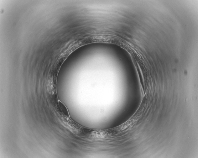 X0000088220764200705151413