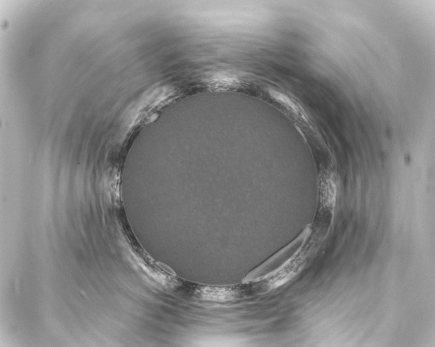 X0000088220766200705151413