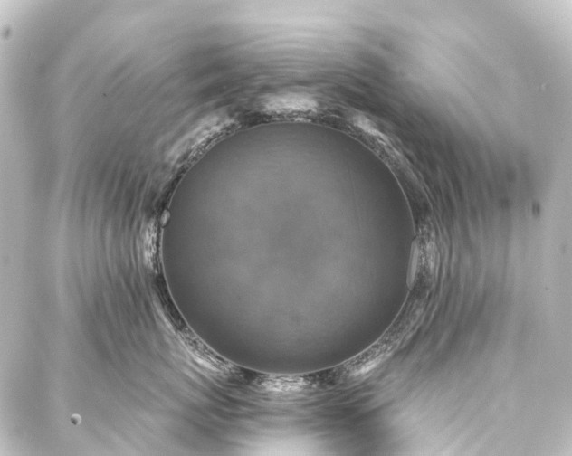 X0000088220767200705151413