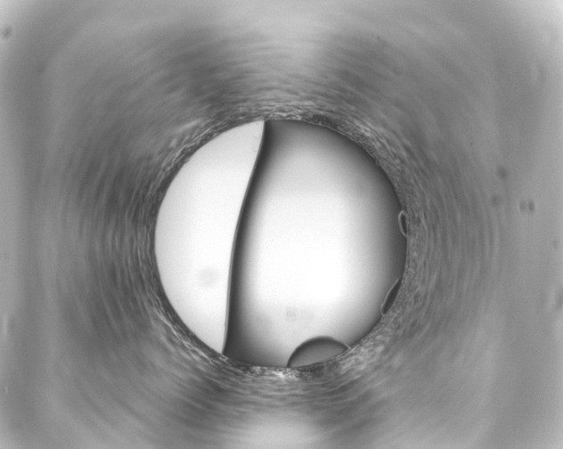 X0000088220768200705151413