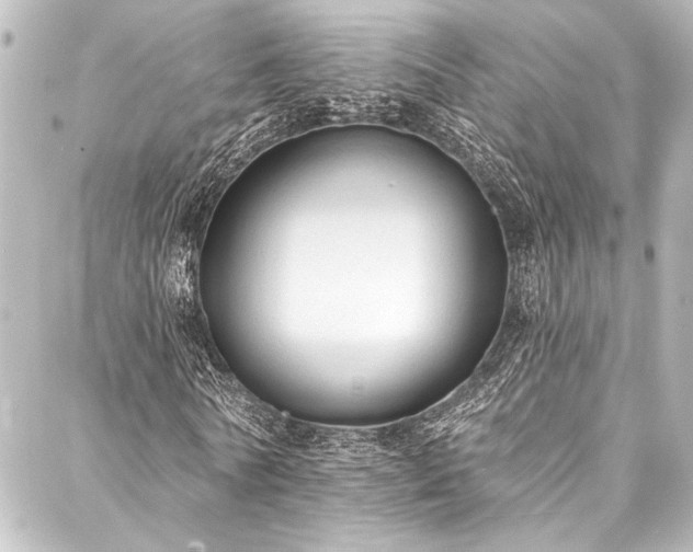 X0000088220770200705151412