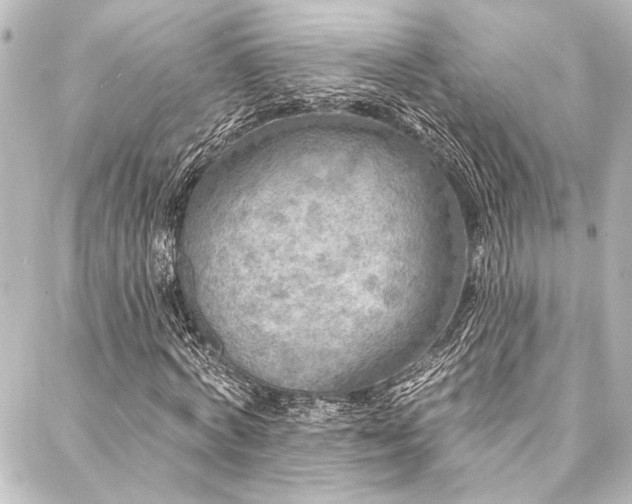 X0000088220772200705151412