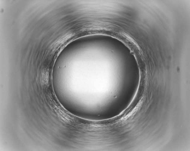 X0000088220777200705151412