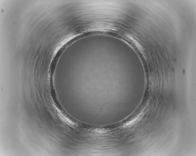 X0000088220779200705151412