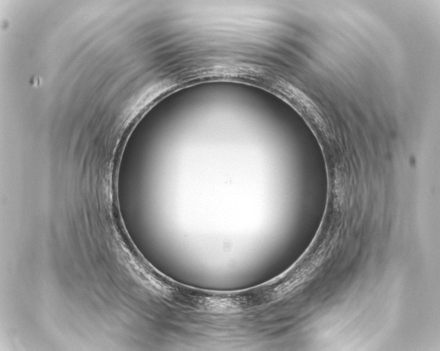 X0000088220794200705151412