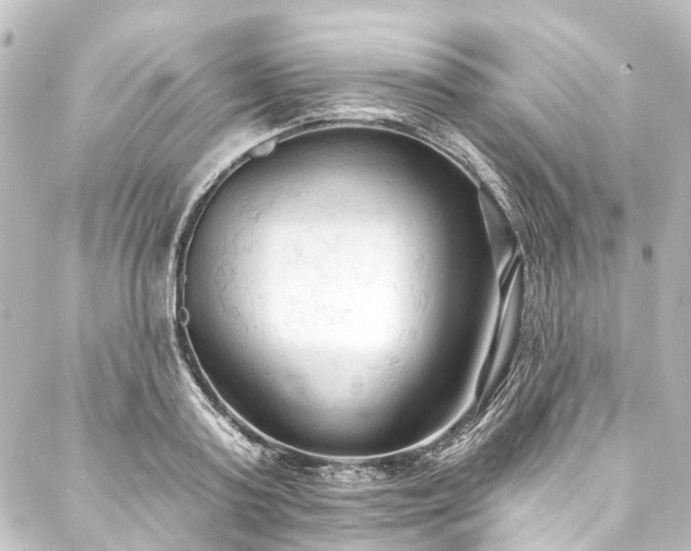 X0000088220795200705151412