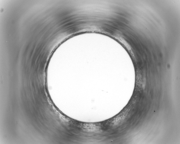 X0000088220807200705151412