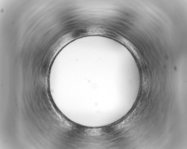 X0000088220810200705151412