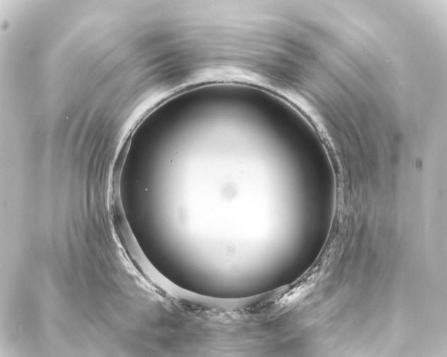 X0000088220815200705151412