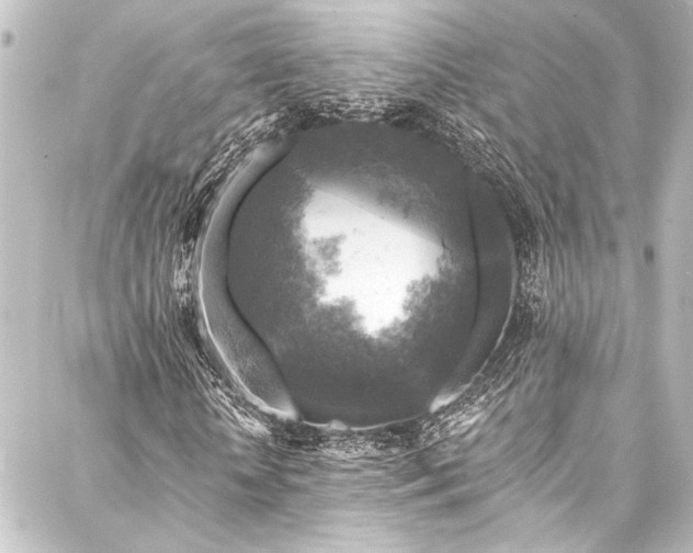 X0000088220818200705151411