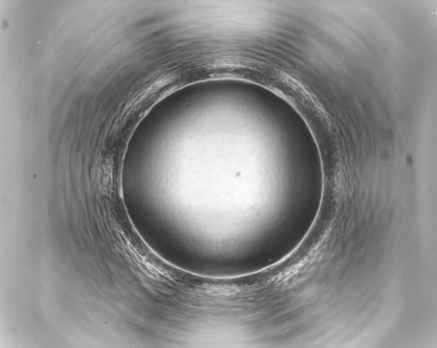 X0000088220825200705151411