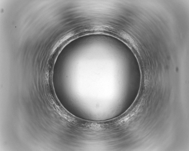 X0000088220827200705151411