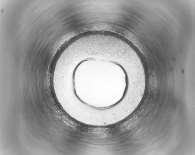 X0000088220832200705151411