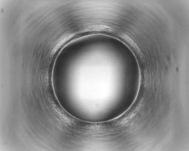 X0000088220834200705151411