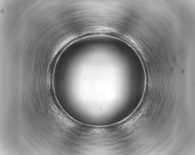 X0000088220835200705151411