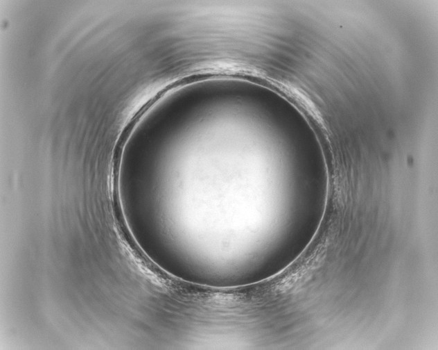X0000088220839200705151411