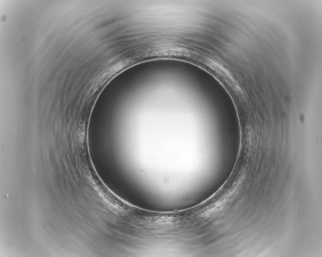 X0000088220841200705151411