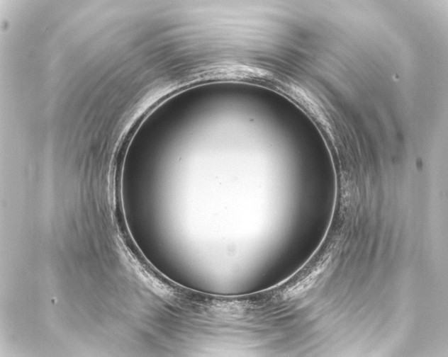 X0000088220843200705151411