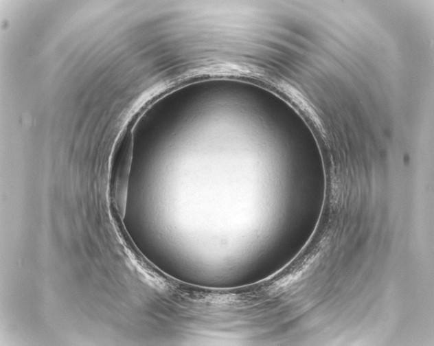 X0000088220845200705151411