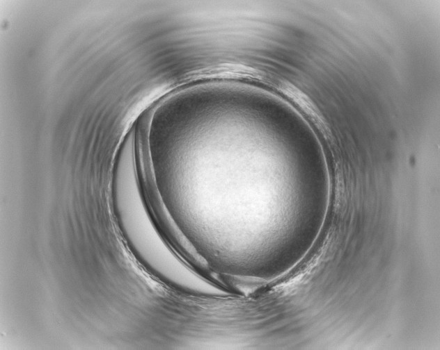 X0000088220850200705151411