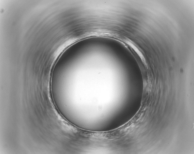 X0000088220861200705151411