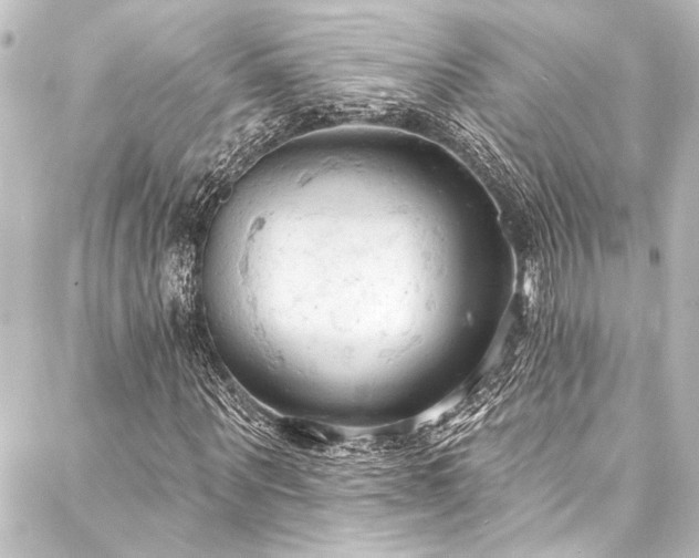 X0000088220867200705151411