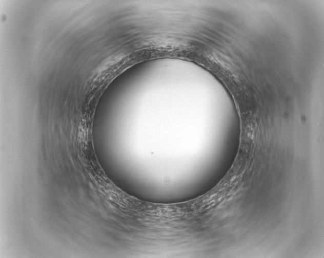X0000088220869200705151411