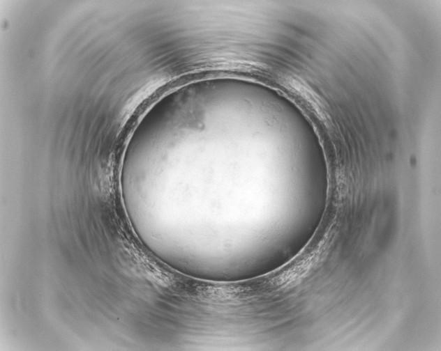 X0000088220875200705151411