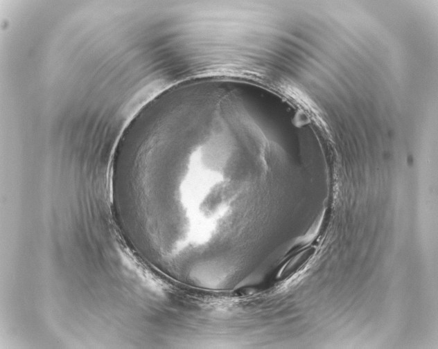 X0000088220892200705151410