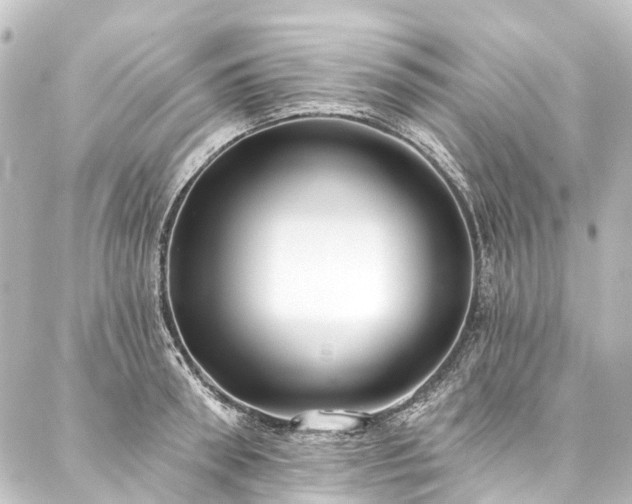 X0000088220898200705151410
