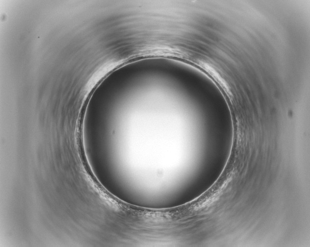 X0000088220901200705151410