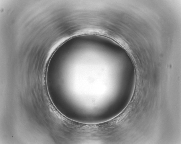 X0000088220912200705151410
