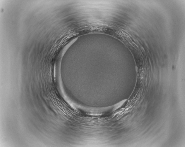 X0000088220916200705151409
