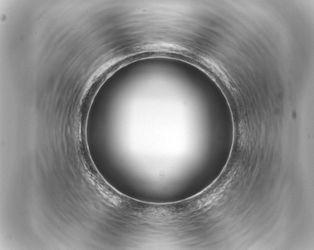 X0000088220931200705151409