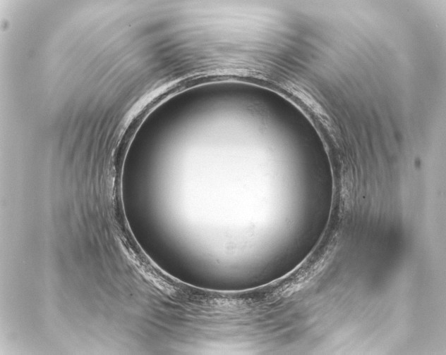 X0000088220933200705151410